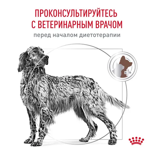 Сухой корм для собак Royal Canin Hepatic при заболеваниях печени, 6 кг, arzon