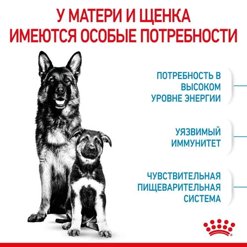 Сухой корм для щенков и беременных собак крупных пород Royal Canin Starter, 15 кг, купить недорого