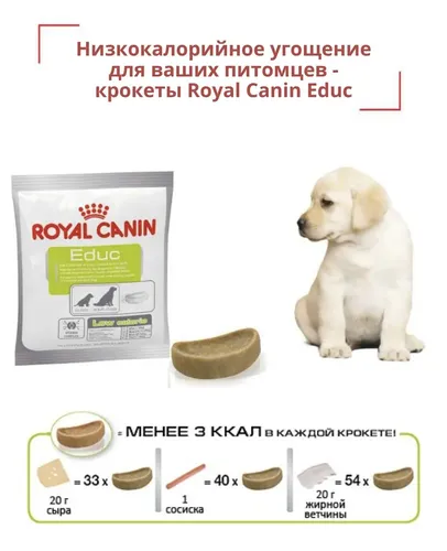 Лакомство для собак Royal Canin Educ крокеты, 50 гр, в Узбекистане