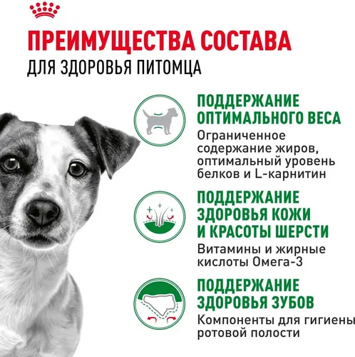 Сухой корм для собак малых пород Royal Canin Mini Adult с птицей, 8 кг, 80000000 UZS