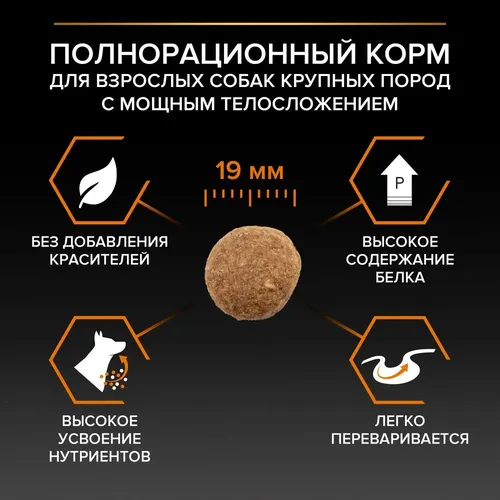 Сухой корм для собак крупных пород Purina Pro Plan Large Robust Adult с курицей и рисом, 14 кг, 92400000 UZS