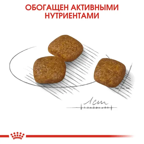 Сухой корм для собак Royal Canin Mini Urinary Care при МКБ, 8 кг, 96800000 UZS