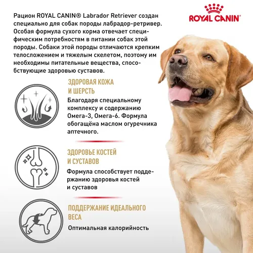 Сухой корм для собак породы Лабрадор-ретривер Royal Canin Labrador Retriever, 13 кг, в Узбекистане