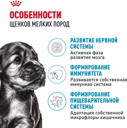 Сухой корм для щенком малых пород Royal Сanin Mini Puppy, 8 кг