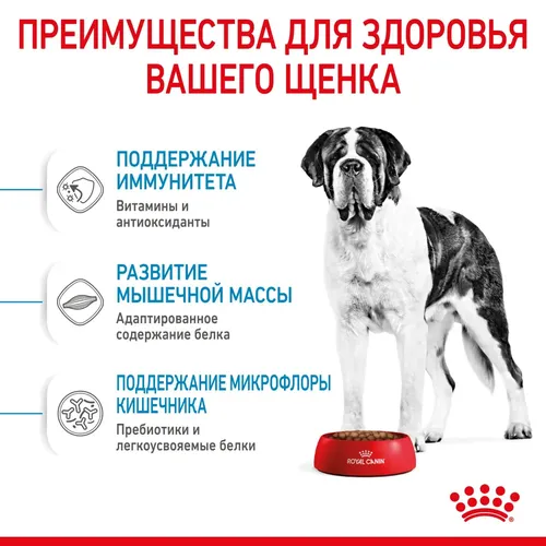 Корм для собак крупных пород Royal Canin Giant Junior, 17 кг, фото № 4