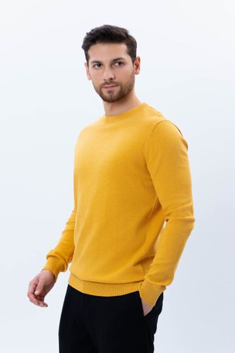 Джемпер длинный рукав Terra Pro AW21CA2N-29-10744, Yellow, купить недорого