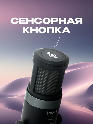 Профессиональный микрофон Jmary MC-PW9 RGB, Черный