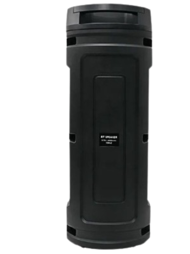Sing-e ZQS-6208 portativ akustikasi, qora, купить недорого