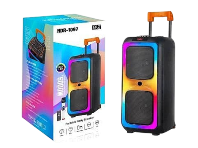 Портативная колонка с микрофоном Sing-e Subwoofer NDR1097, Черный