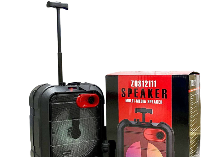 Sing-e ZQS12111 mikrofonli portativ akustika, qora, купить недорого