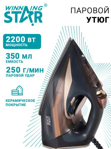 Паровой утюг Winning star ST-6100, Черный
