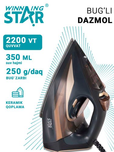 Паровой утюг Winning star ST-6100, Черный, купить недорого