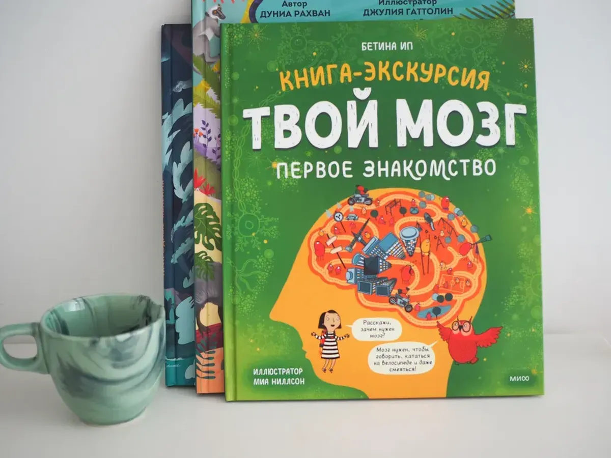 Книга прогулка. Автостопом по мозгу книга.